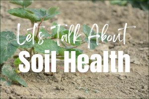 Let's Talk About Soil Health